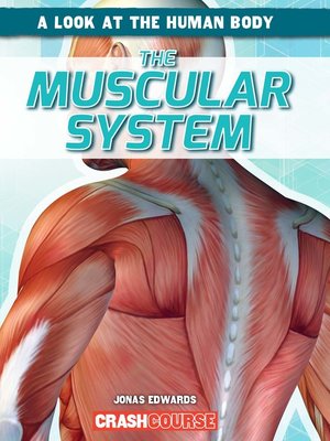 cover image of Muscular System